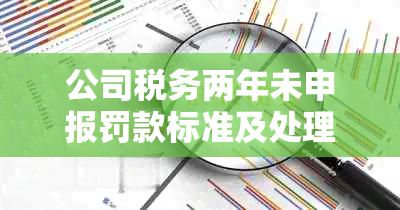 公司税务两年未申报罚款标准及处理方法