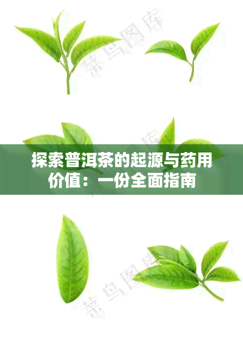 探索普洱茶的起源与用价值：一份全面指南