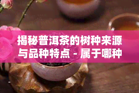 揭秘普洱茶的树种来源与品种特点 - 属于哪种茶树？