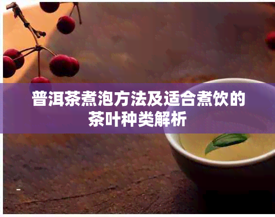 普洱茶煮泡方法及适合煮饮的茶叶种类解析