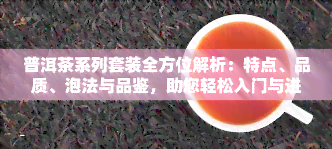 普洱茶系列套装全方位解析：特点、品质、泡法与品鉴，助您轻松入门与进阶