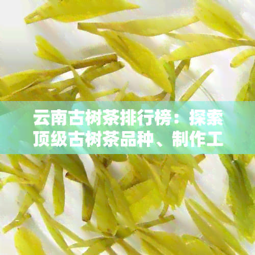 云南古树茶排行榜：探索顶级古树茶品种、制作工艺与品鉴技巧