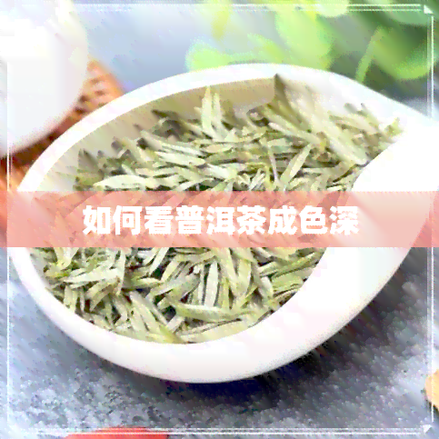 如何看普洱茶成色深