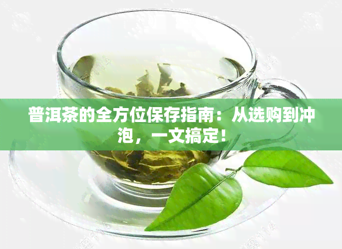 普洱茶的全方位保存指南：从选购到冲泡，一文搞定！