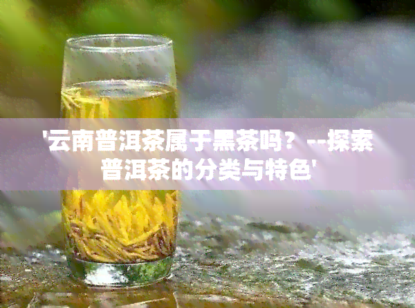 '云南普洱茶属于黑茶吗？--探索普洱茶的分类与特色'