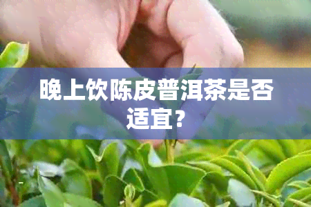 晚上饮陈皮普洱茶是否适宜？