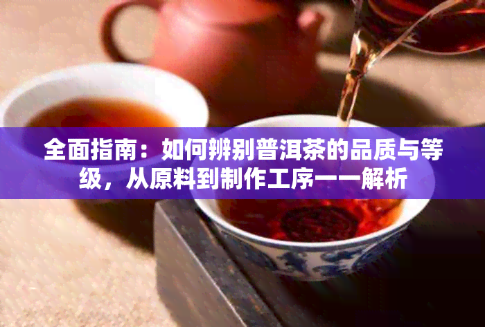 全面指南：如何辨别普洱茶的品质与等级，从原料到制作工序一一解析