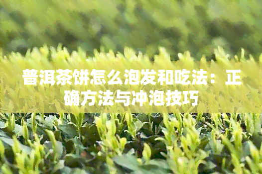 普洱茶饼怎么泡发和吃法：正确方法与冲泡技巧