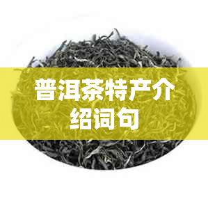 普洱茶特产介绍词句