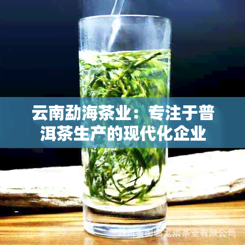 云南勐海茶业：专注于普洱茶生产的现代化企业