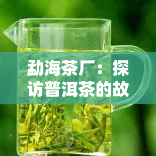 勐海茶厂：探访普洱茶的故乡，品味正宗普洱茶的魅力与历