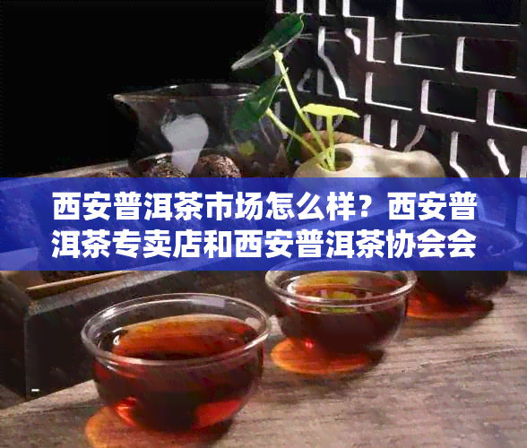 西安普洱茶市场怎么样？西安普洱茶专卖店和西安普洱茶协会会长在哪里？