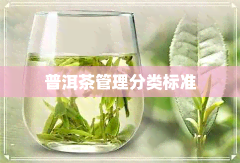 普洱茶管理分类标准