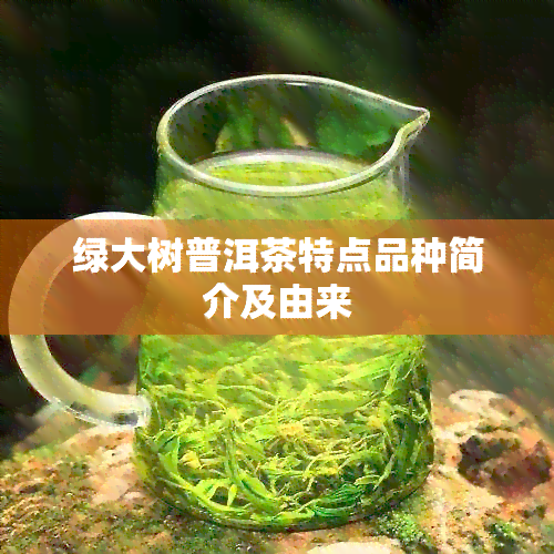 绿大树普洱茶特点品种简介及由来