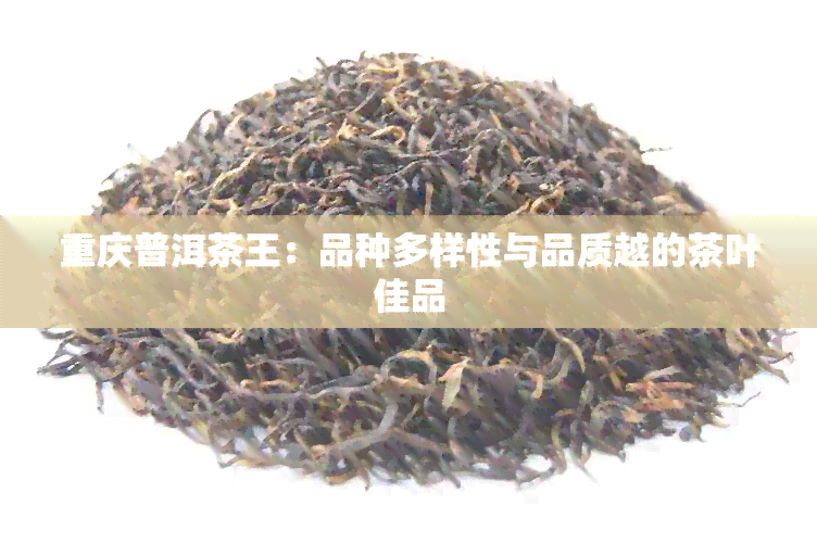 重庆普洱茶王：品种多样性与品质越的茶叶佳品