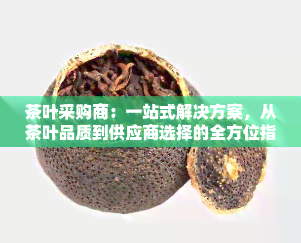 茶叶采购商：一站式解决方案，从茶叶品质到供应商选择的全方位指南