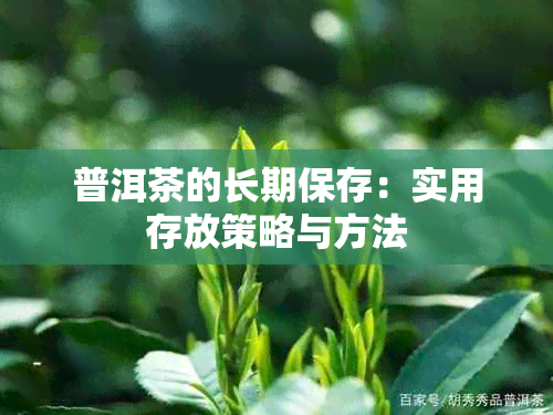 普洱茶的长期保存：实用存放策略与方法