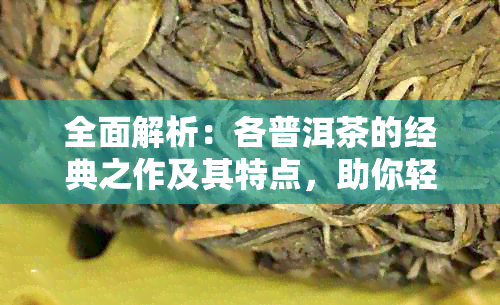 全面解析：各普洱茶的经典之作及其特点，助你轻松选对好茶