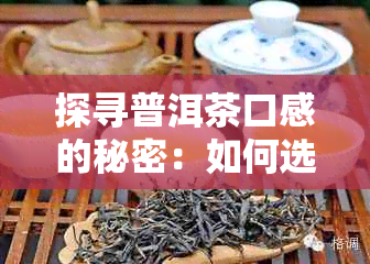 探寻普洱茶口感的秘密：如何选择最美味的普洱茶与种类