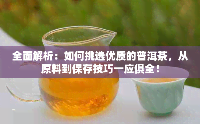 全面解析：如何挑选优质的普洱茶，从原料到保存技巧一应俱全！