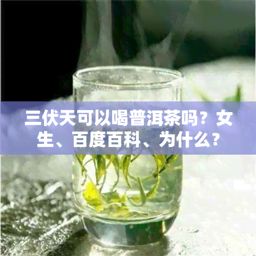 三伏天可以喝普洱茶吗？女生、百度百科、为什么？