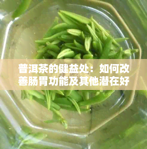 普洱茶的健益处：如何改善肠胃功能及其他潜在好处