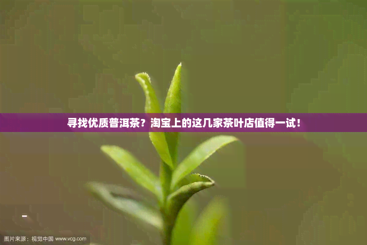 寻找优质普洱茶？淘宝上的这几家茶叶店值得一试！