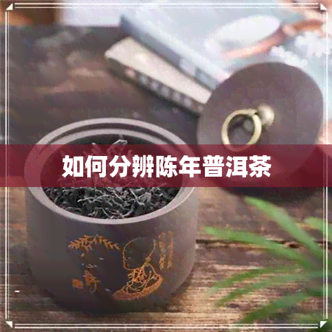 如何分辨陈年普洱茶