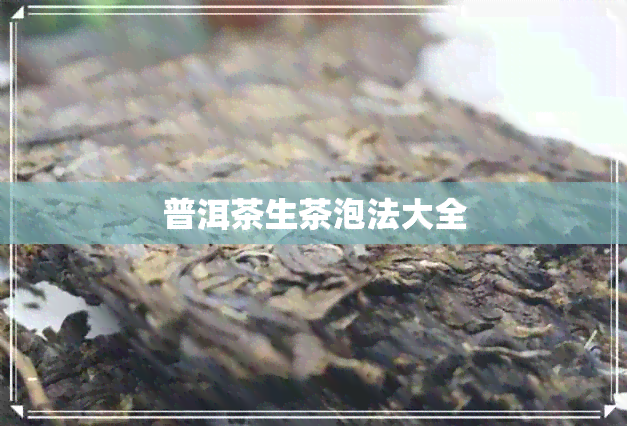 普洱茶生茶泡法大全