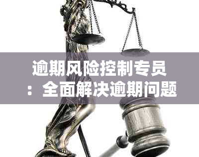 逾期风险控制专员：全面解决逾期问题与风控策略