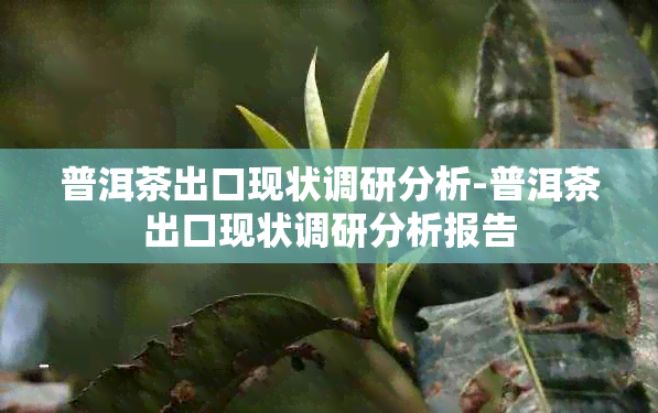 普洱茶出口现状调研分析-普洱茶出口现状调研分析报告