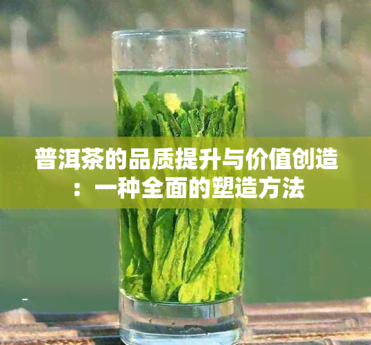 普洱茶的品质提升与价值创造：一种全面的塑造方法