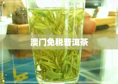 免税普洱茶