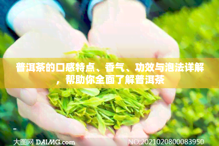 普洱茶的口感特点、香气、功效与泡法详解，帮助你全面了解普洱茶