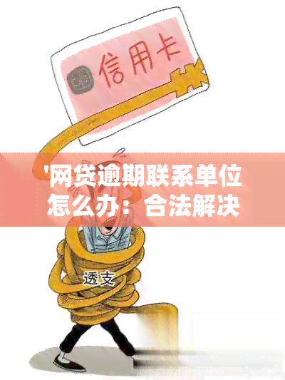 '网贷逾期联系单位怎么办：合法解决方案与手续指南'