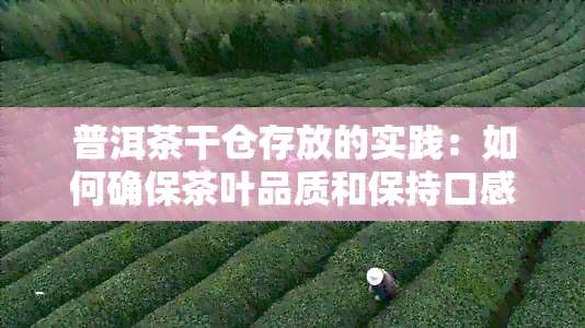 普洱茶干仓存放的实践：如何确保茶叶品质和保持口感？