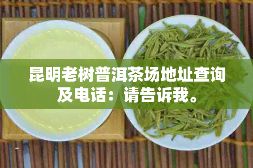 昆明老树普洱茶场地址查询及电话：请告诉我。