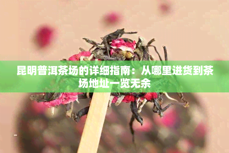 昆明普洱茶场的详细指南：从哪里进货到茶场地址一览无余