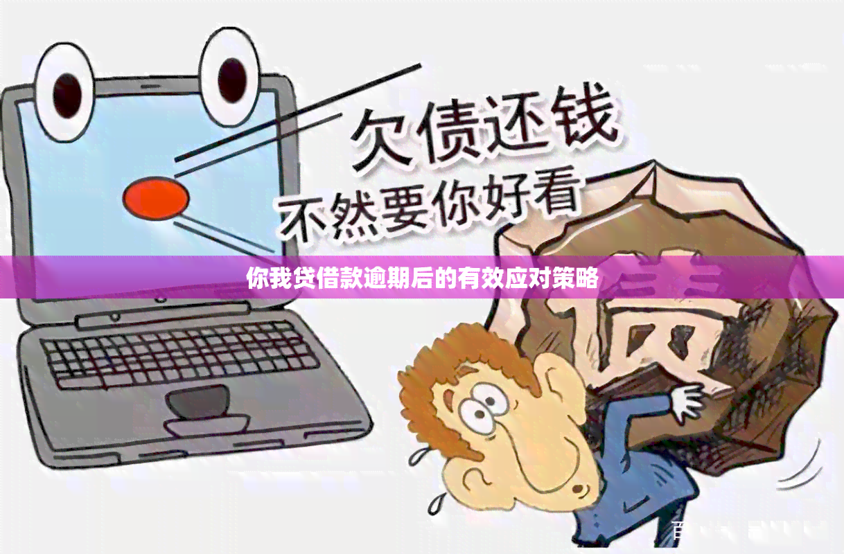 你我贷借款逾期后的有效应对策略