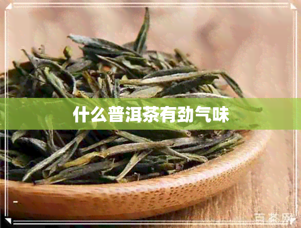 什么普洱茶有劲气味