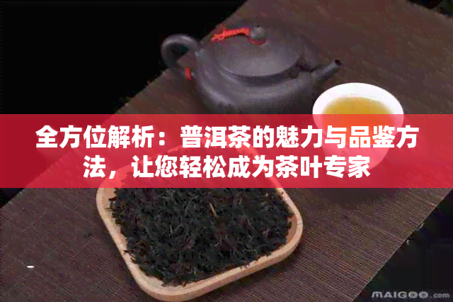 全方位解析：普洱茶的魅力与品鉴方法，让您轻松成为茶叶专家