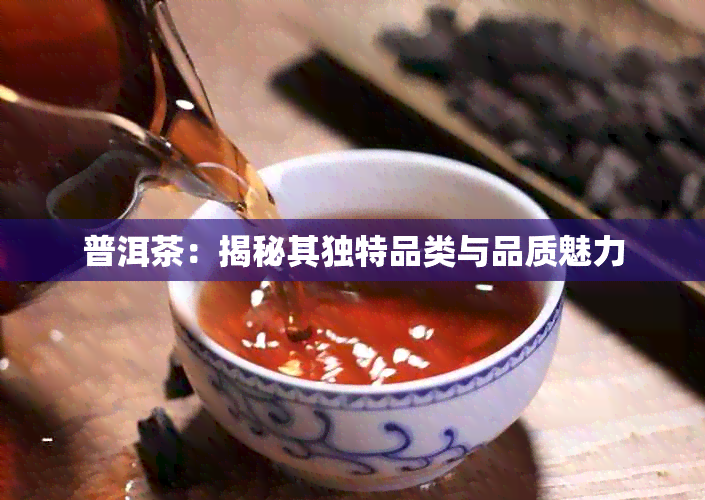 普洱茶：揭秘其独特品类与品质魅力