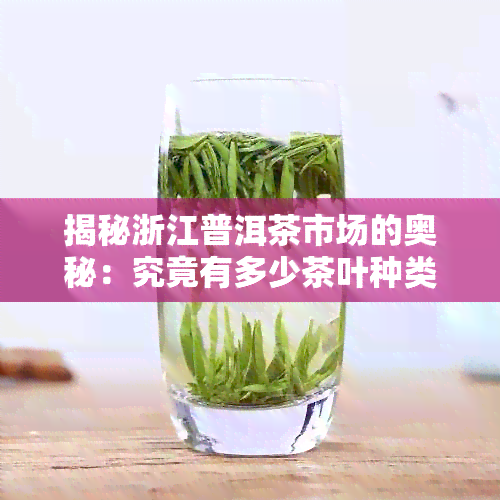 揭秘浙江普洱茶市场的奥秘：究竟有多少茶叶种类？