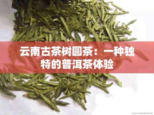 云南古茶树圆茶：一种独特的普洱茶体验