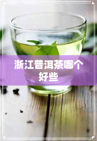 浙江普洱茶哪个好些