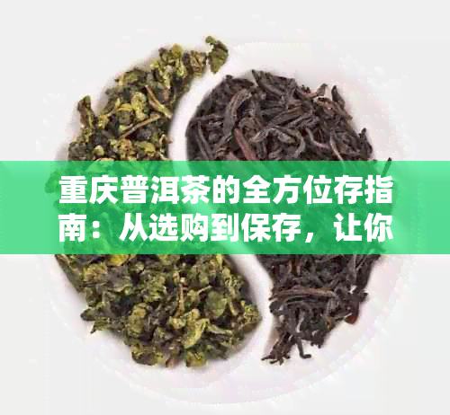 重庆普洱茶的全方位存指南：从选购到保存，让你品尝更醇厚的口感