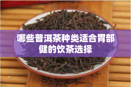 哪些普洱茶种类适合胃部健的饮茶选择