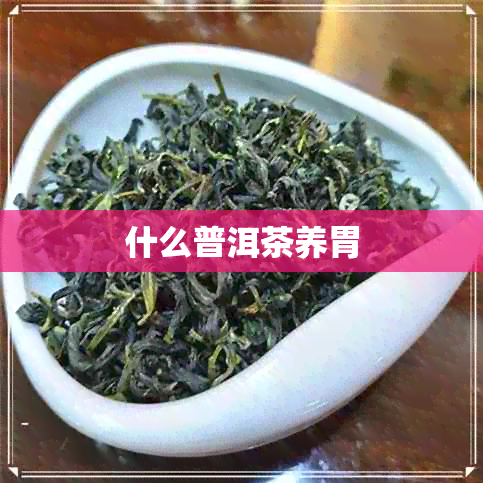 什么普洱茶养胃