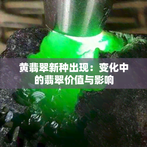 黄翡翠新种出现：变化中的翡翠价值与影响