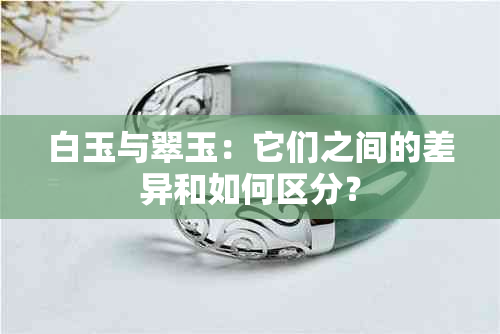 白玉与翠玉：它们之间的差异和如何区分？